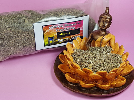 hierba esoterica albahaca