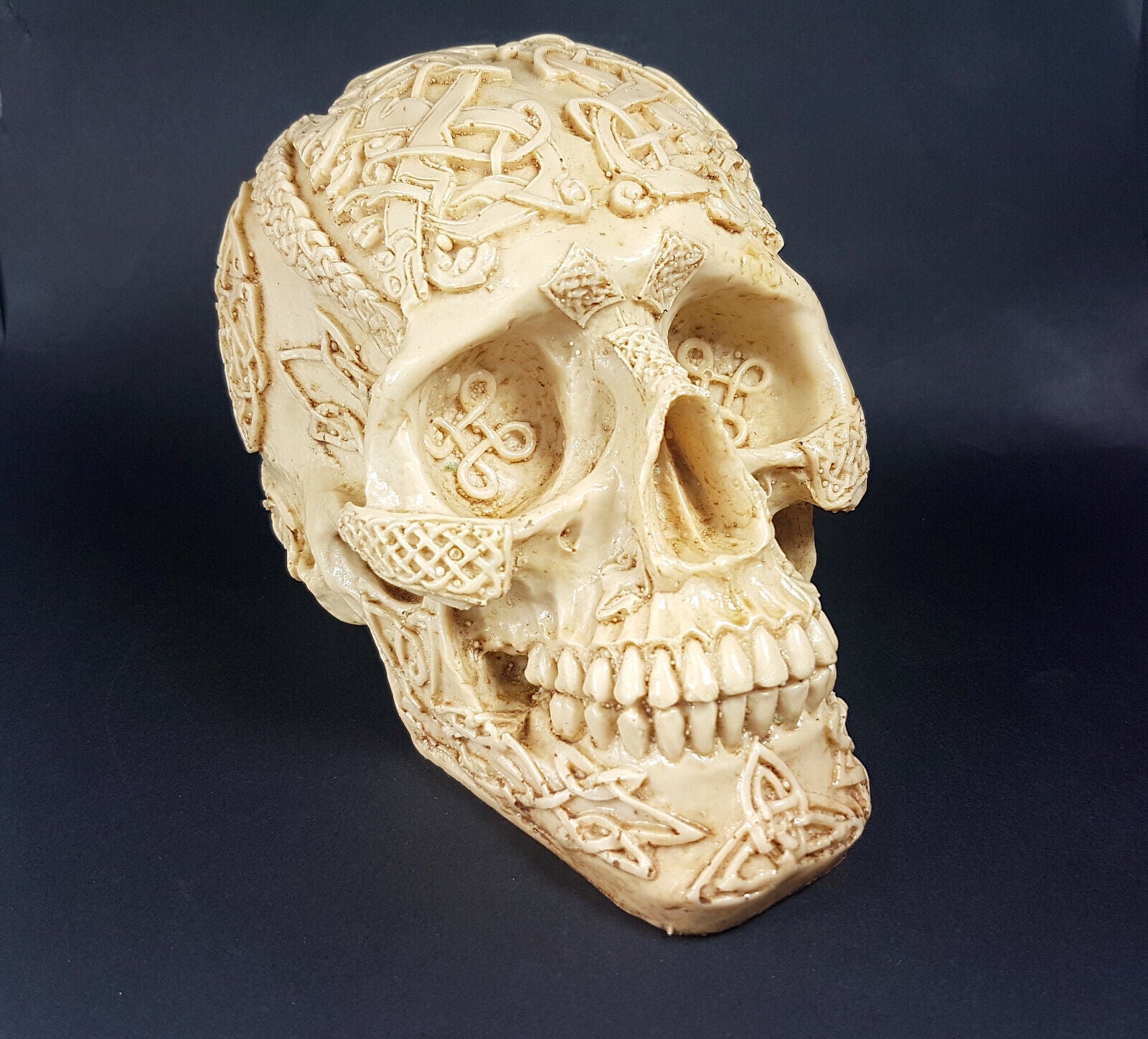 calavera craneo resina