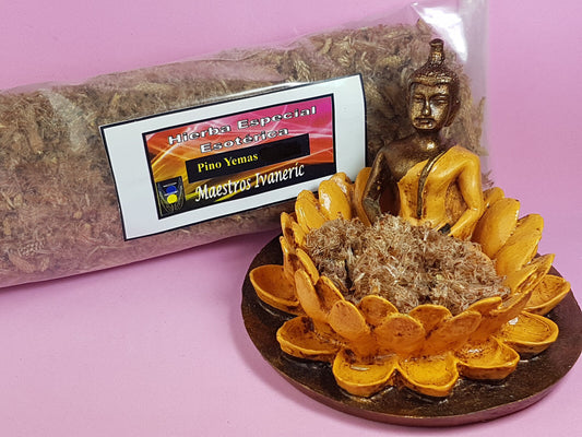 hierba pino yemas esoterica