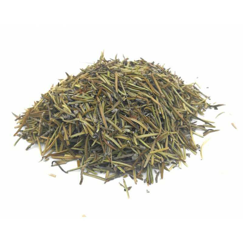 romero hierba esoterica rosemary