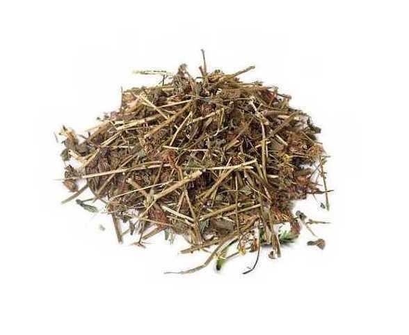 abrotano macho hierba chango