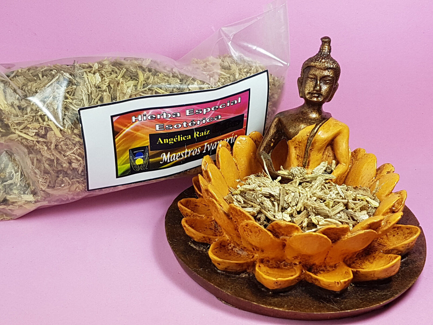 hierba esoterica angelica raiz