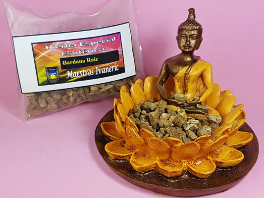 hierba esoterica bardana raiz