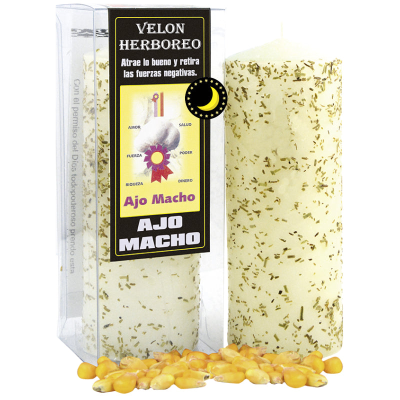 ajo macho velon herboreo