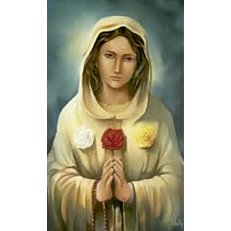 mystical rose card