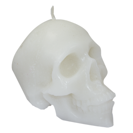 candle skull white