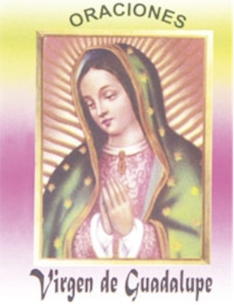 Little Book of Prayers VIRGEN DE GUADALUPE / Prayer Book, Santeria, Religion 