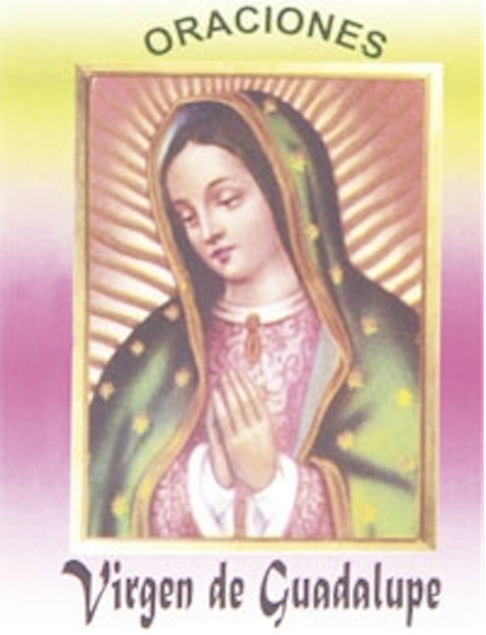 Little Book of Prayers VIRGEN DE GUADALUPE / Prayer Book, Santeria, Religion 
