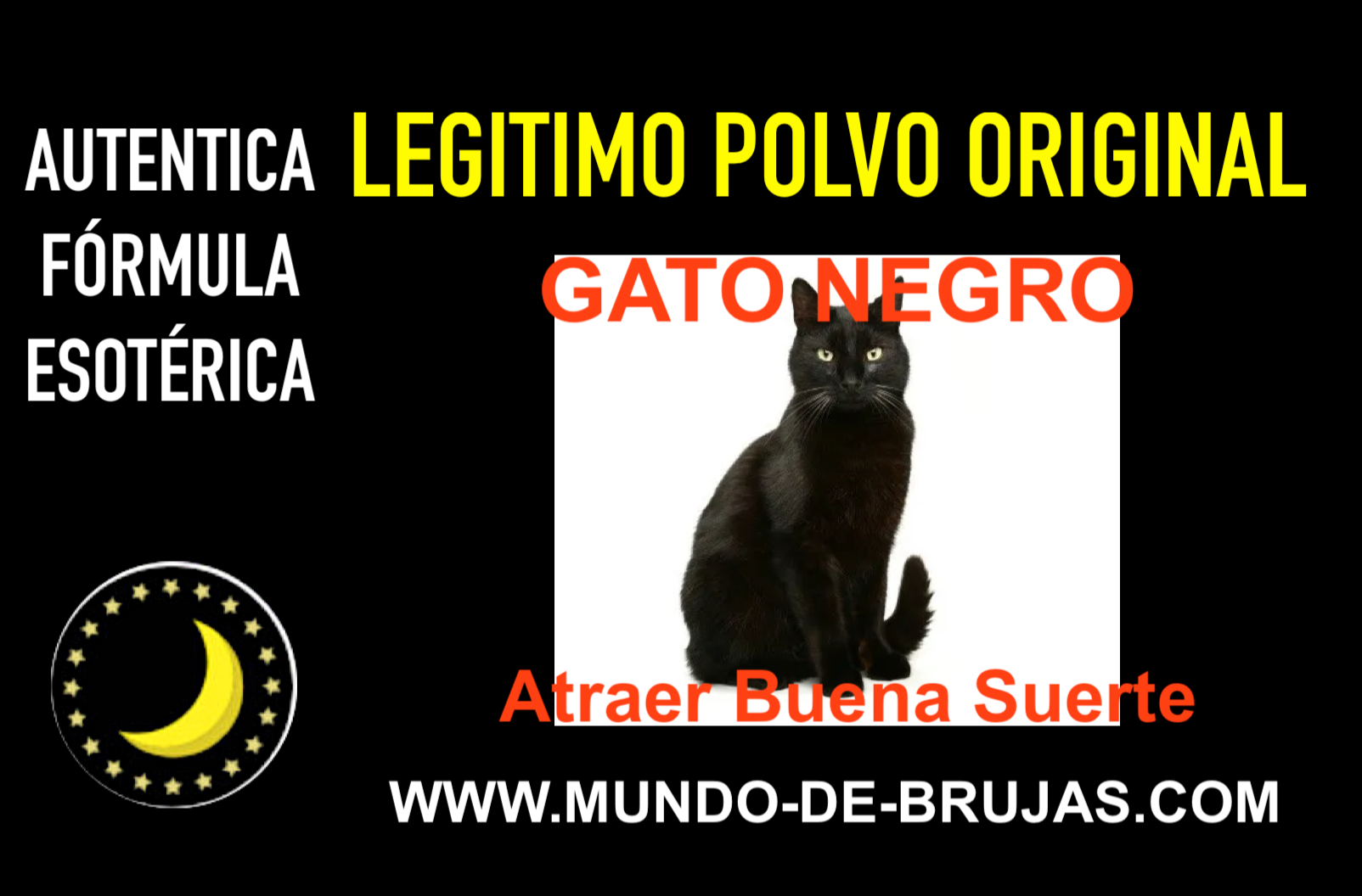 polvo gato negro esoterico