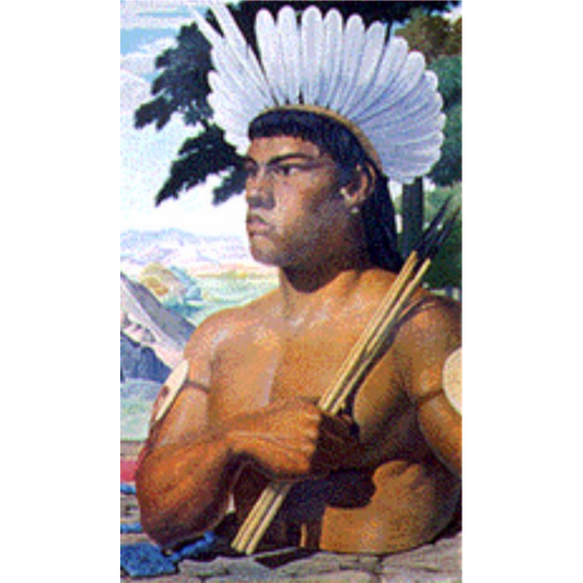 chief terepaima card 