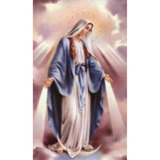 blessing virgin mary card