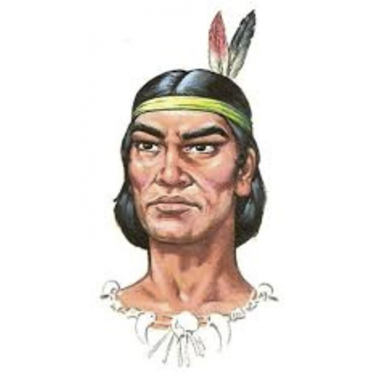 stamp guaicaipuro card