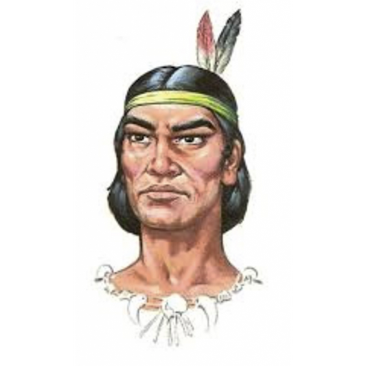 stamp guaicaipuro card