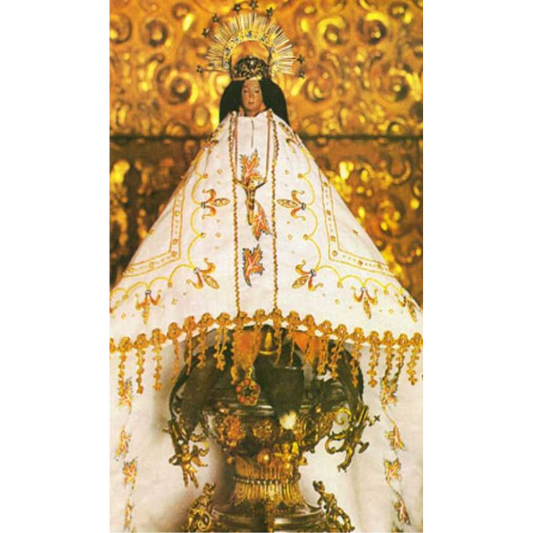 juquila religious card